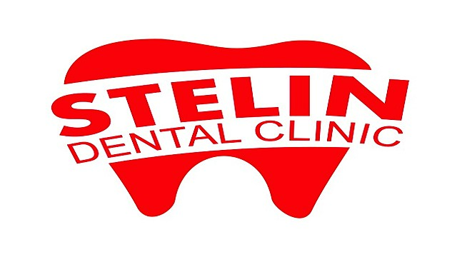 Stelin+logo
