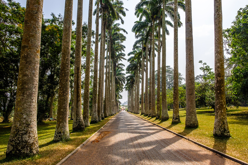 Aburi Botanical Gardens