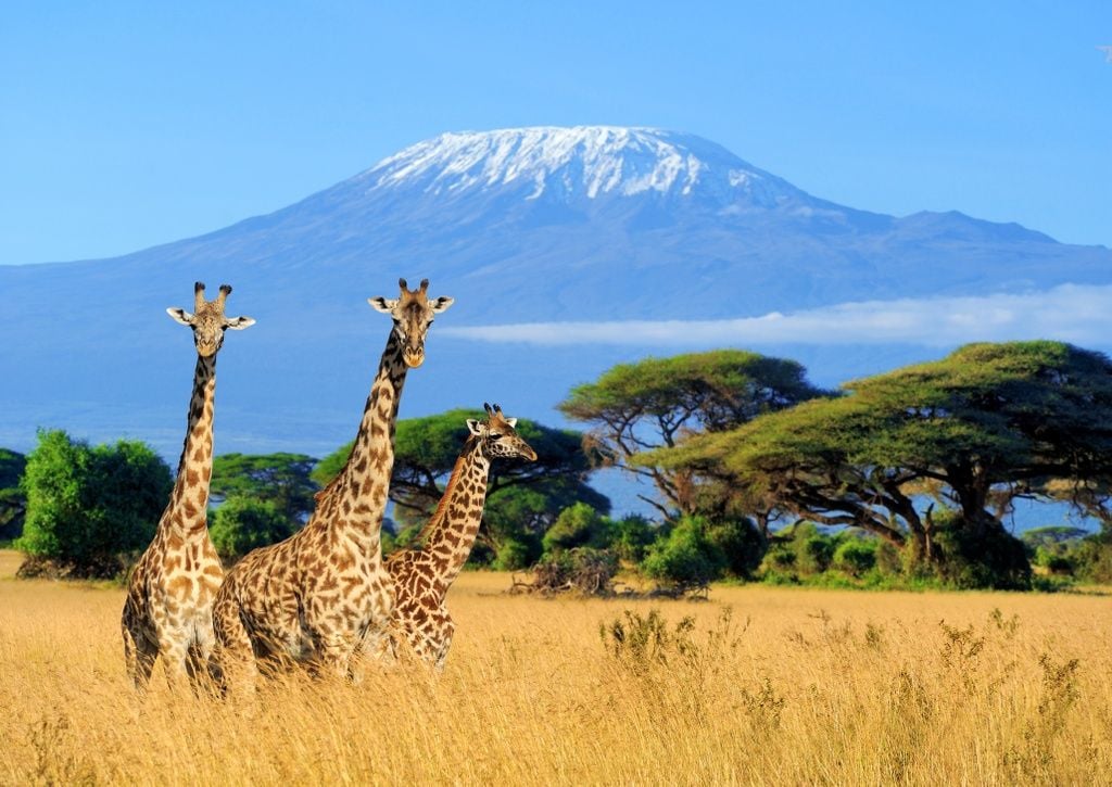 Mountain Kilimanjaro, Tanzania