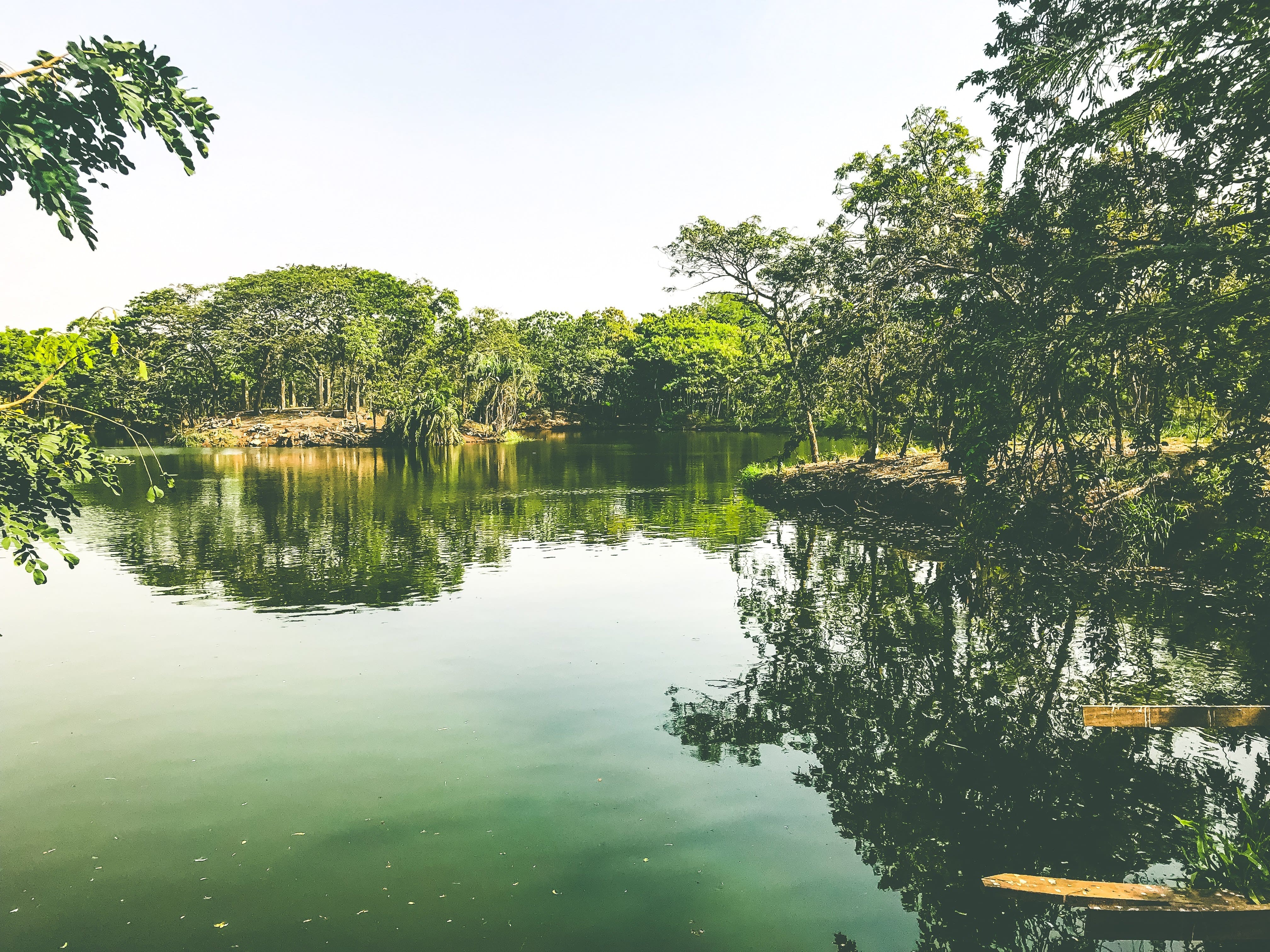 Legon Botanical Gardens