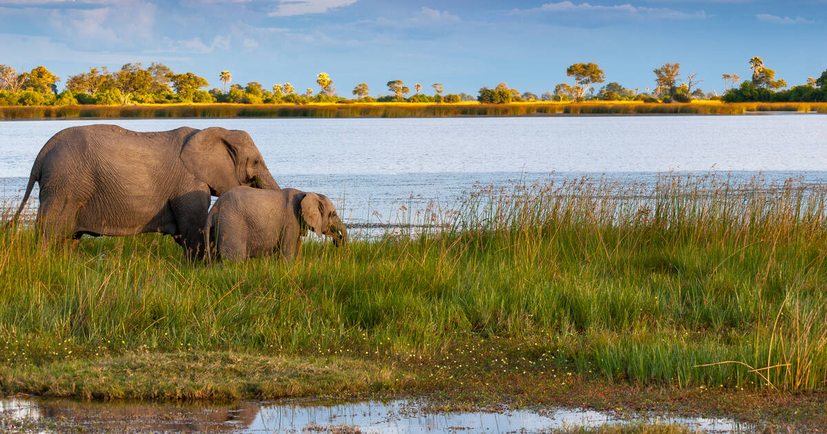 Okavango Delta, Botswana