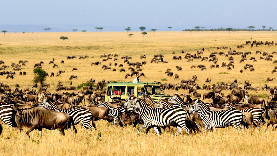 Serengeti National Park, Tanzania