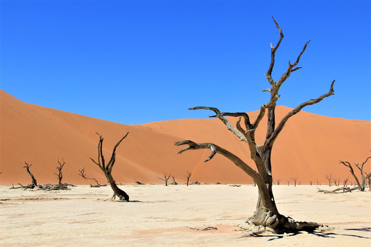 Sossusvlei namibia